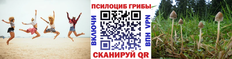 darknet Telegram  Сунжа  Псилоцибиновые грибы мухоморы 